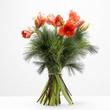 Afbeelding in Gallery-weergave laden, Boeket AMARYLIS (lang)