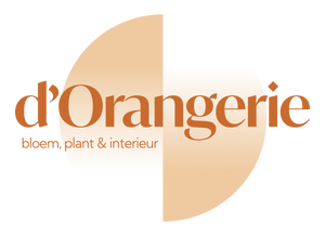d&#39;Orangerie