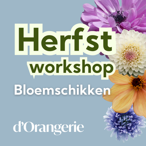 WORKSHOP BLOEMSCHIKKEN - Herfst editie - woensdag 8/10: 19u-22u